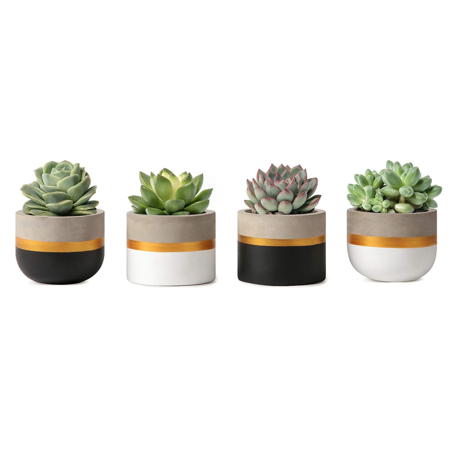 Amazon.com : Mkono 3 Inch Mini Succulent Pots Concrete Planter Set